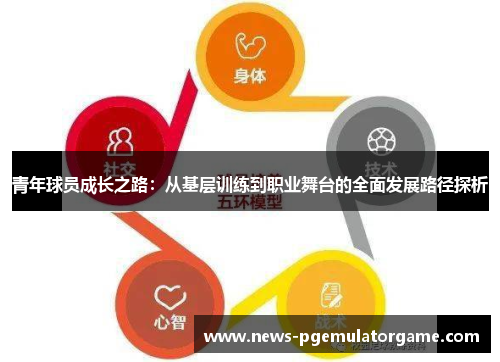 青年球员成长之路：从基层训练到职业舞台的全面发展路径探析