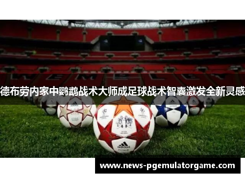 德布劳内家中鹦鹉战术大师成足球战术智囊激发全新灵感 德布劳内家中鹦鹉战术大师成足球战术智囊激发全新灵感