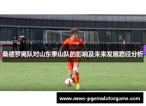 桑德罗离队对山东泰山队的影响及未来发展路径分析 桑德罗离队对山东泰山队的影响及未来发展路径分析