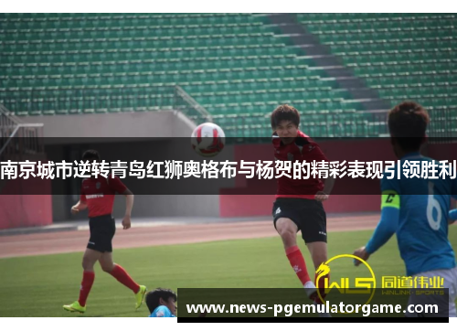 南京城市逆转青岛红狮奥格布与杨贺的精彩表现引领胜利