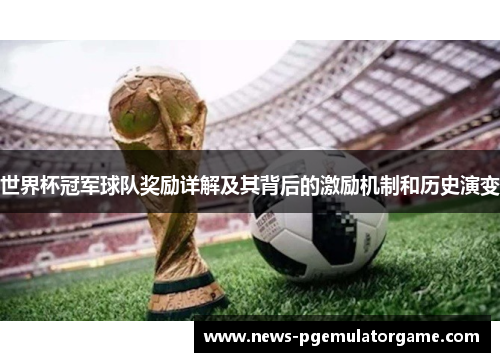 世界杯冠军球队奖励详解及其背后的激励机制和历史演变