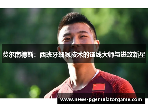 费尔南德斯:西班牙细腻技术的锋线大师与进攻新星 费尔南德斯:西班牙细腻技术的锋线大师与进攻新星