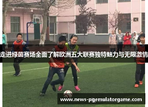 走进绿茵赛场全面了解欧洲五大联赛独特魅力与无限激情