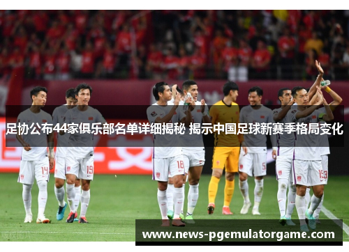 足协公布44家俱乐部名单详细揭秘 揭示中国足球新赛季格局变化