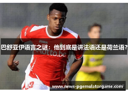 巴舒亚伊语言之谜：他到底是讲法语还是荷兰语？