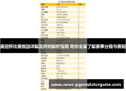 美冠杯比赛级别详解及规则解析指南 助你全面了解赛事分级与赛制