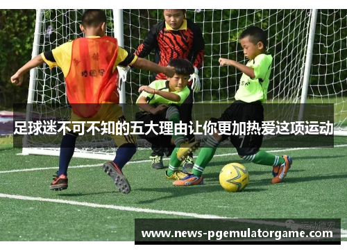足球迷不可不知的五大理由让你更加热爱这项运动
