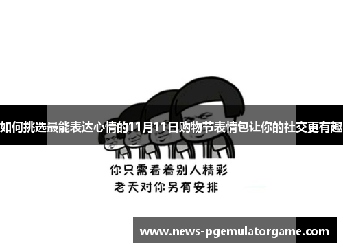 如何挑选最能表达心情的11月11日购物节表情包让你的社交更有趣